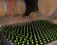 languedoc-roussillon-001.JPG