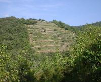 languedoc-roussillon-067.JPG