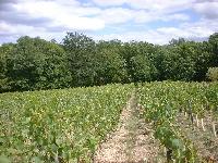 loire-023.JPG
